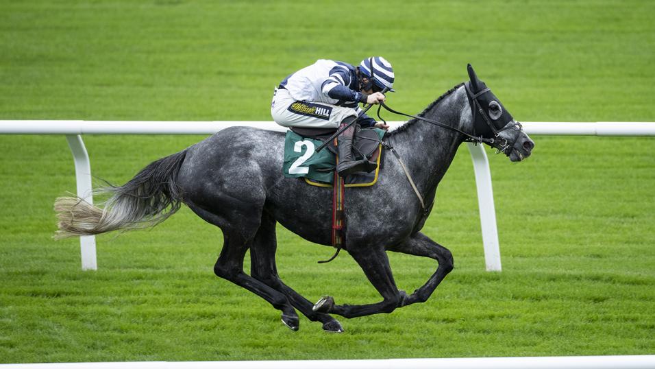 Jumps racehorse Al Dancer